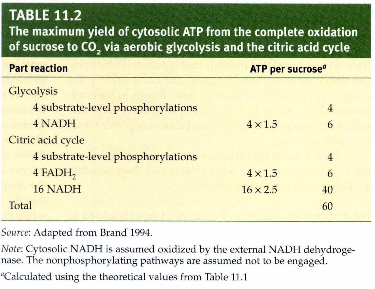 Search BioNumbers The Database of Useful Biological Numbers